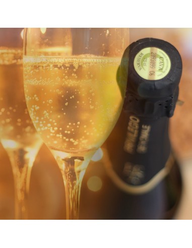 Brut Nature Reserva Cava - 6 bottles, 75 cl