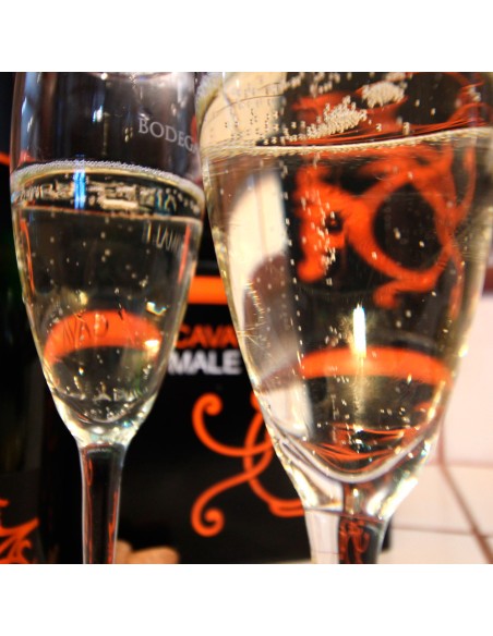 Cava Semiseco caja 6 botellas 75 cl