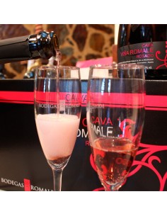 Cava Brut Nature Rosado caja 6 botellas 75 cl 2