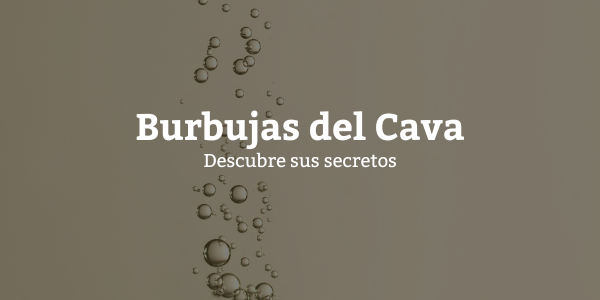 Burbujas del Cava: Descubre Sus Secretos