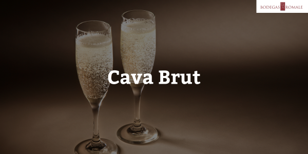 Cava Brut: Un Viaje por el Sabor y la Tradición